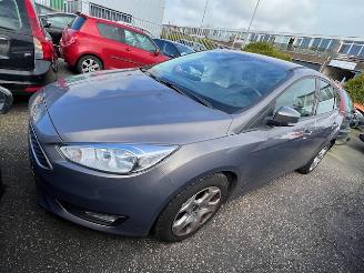 Ford Focus  picture 2