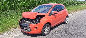 škoda osobní automobily Ford Ka 1.2 2011/1