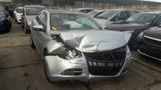 škoda osobní automobily Volkswagen Eos  2010/1