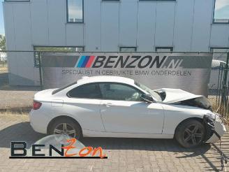 Voiture accidenté BMW 2-serie 2 serie (F22), Coupe, 2013 / 2021 218i 1.5 TwinPower Turbo 12V 2016/9