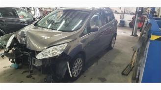 škoda osobní automobily Ford Grand C-Max Grand C-Max (DXA), MPV, 2010 / 2019 1.0 Ti-VCT EcoBoost 12V 125 2013/4