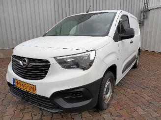 Unfall Kfz LKW Opel Combo Combo Cargo Van 1.6 CDTI 75 (B16DTL(DV6FE)) [55kW]  (06-2018/...) 2019/1