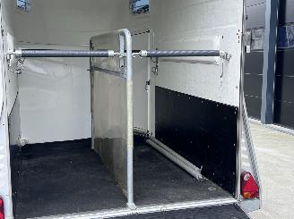 -  Blomert NEW STAR 2 paards trailer picture 8