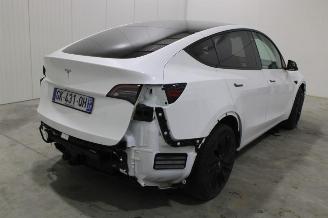 Damaged car Tesla Model Y  2022/11