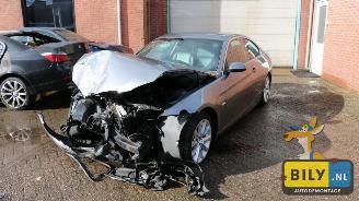 škoda přívěsy BMW 3-serie E92 335d A 2007/1